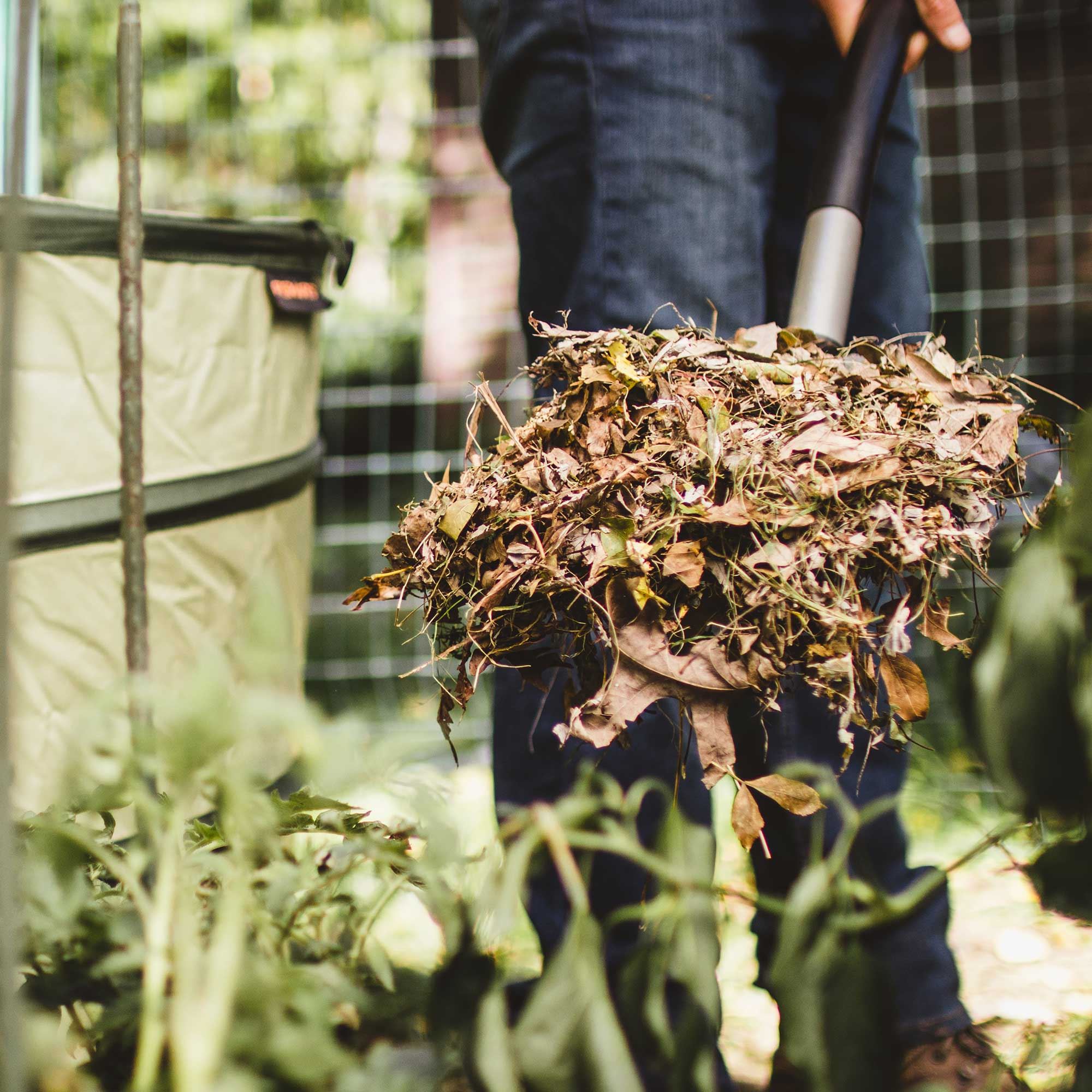 Dried Leaves As Mulch: Tips On Using Leaf Litter For Mulch