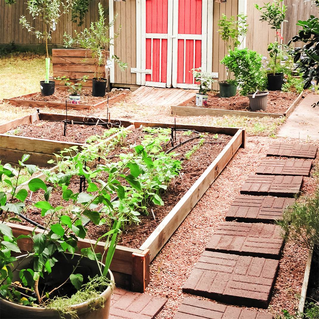 Vegetable & Flower Container Gardening Ideas