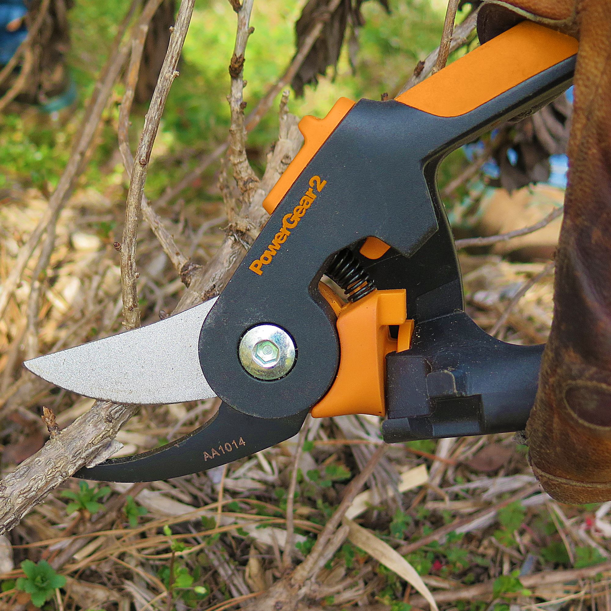 Factors To Consider When Choosing The Best Pruning Shears